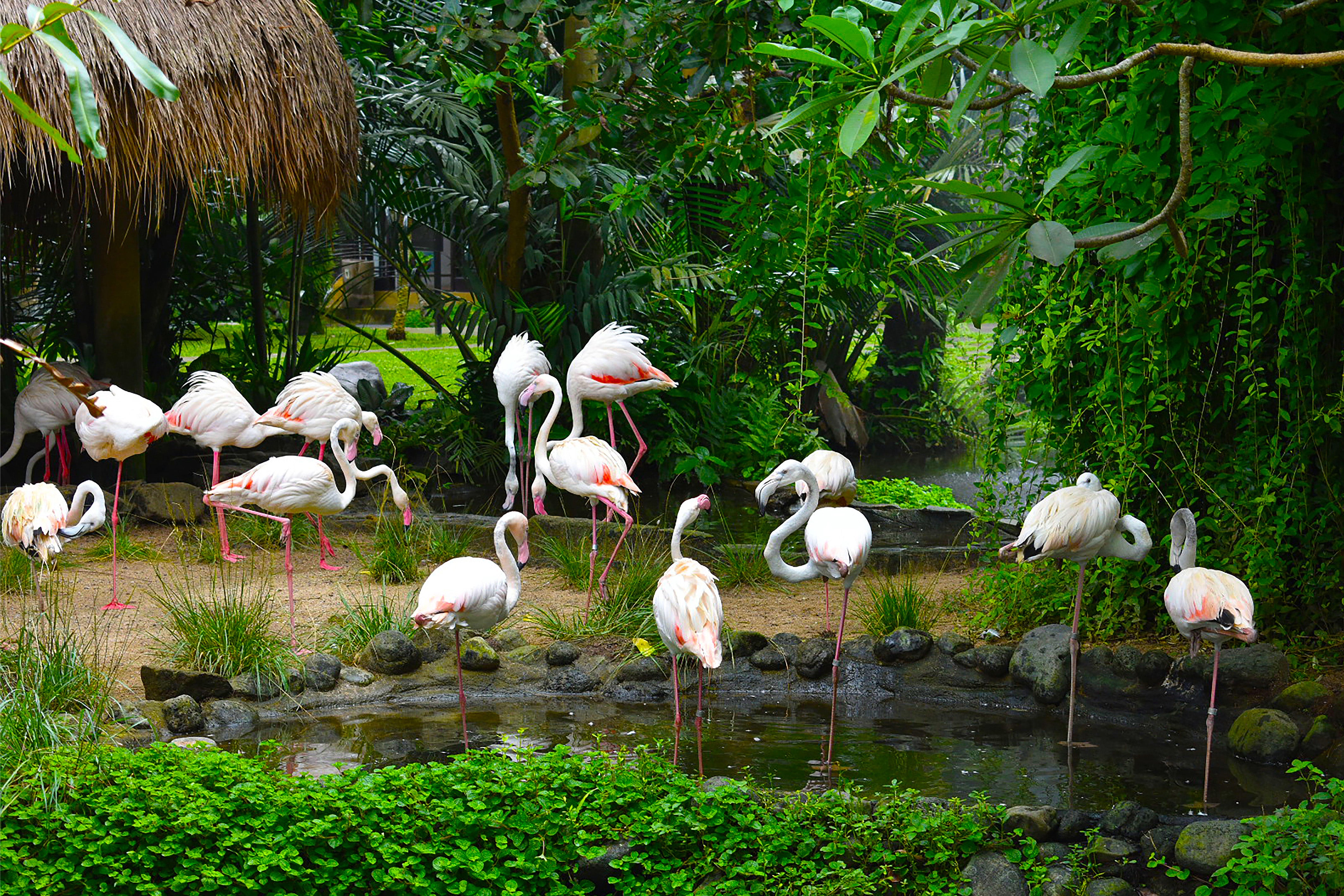 Akustický obraz 150 x 100 x 5 cm